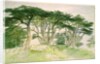 Cedars of Lebanon by Edward Lear