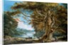 An Ancient Beech Tree by Paul Sandby