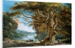 An Ancient Beech Tree by Paul Sandby