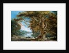 An Ancient Beech Tree by Paul Sandby