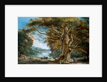 An Ancient Beech Tree by Paul Sandby