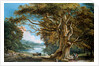 An Ancient Beech Tree by Paul Sandby