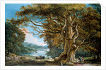 An Ancient Beech Tree by Paul Sandby