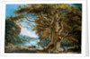 An Ancient Beech Tree by Paul Sandby