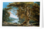An Ancient Beech Tree by Paul Sandby