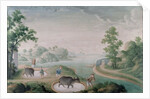 Oxen treading china stone in pits by Unknown