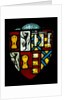 Coat of arms. England, 14th century by Unknown