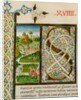 Initial S, from Pliny's Natural History. Italy, mid-15th century by Pliny the Elder