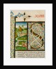 Initial S, from Pliny's Natural History. Italy, mid-15th century by Pliny the Elder