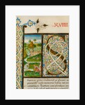 Initial S, from Pliny's Natural History. Italy, mid-15th century by Pliny the Elder