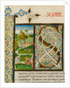 Initial S, from Pliny's Natural History. Italy, mid-15th century by Pliny the Elder