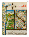 Initial S, from Pliny's Natural History. Italy, mid-15th century by Pliny the Elder