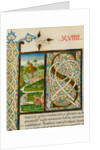 Initial S, from Pliny's Natural History. Italy, mid-15th century by Pliny the Elder