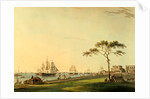 The Esplanade at Calcutta by Unknown
