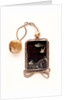 Inro depicting birds in flight over the sea by Shibayama