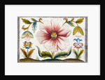 Marigold and poppy flowers. England, late 17th century by Anonymous