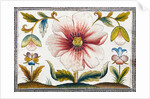 Marigold and poppy flowers. England, late 17th century by Anonymous