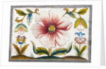 Marigold and poppy flowers. England, late 17th century by Anonymous