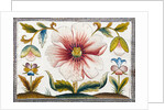 Marigold and poppy flowers. England, late 17th century by Anonymous