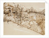 The Primitive Cottage by Samuel Palmer