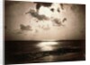 An Effect of The Sun by Gustave Le Gray