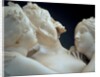 The Three Graces by Antonio Canova