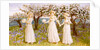 The Three Girls in White by Kate Greenaway
