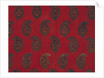 Paisley textile by Unknown
