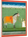 Groom holding a saddled horse. Punjab Plains, Pakistan, mid-19th century by Unknown