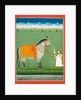 Groom holding a saddled horse. Punjab Plains, Pakistan, mid-19th century by Unknown