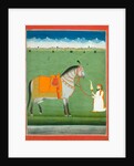 Groom holding a saddled horse. Punjab Plains, Pakistan, mid-19th century by Unknown
