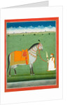 Groom holding a saddled horse. Punjab Plains, Pakistan, mid-19th century by Unknown