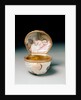 Seashell snuff box by Giuseppe Gricci & Giovanni Caselli