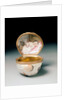 Seashell snuff box by Giuseppe Gricci & Giovanni Caselli