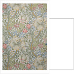 Golden Lily wallpaper by John Henry Dearle