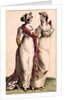 Paris Dress, from Ladies Magazine. London, England, 1801 by Unknown