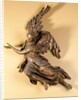 Angel. Austrian, mid-18 century. by Unknown
