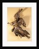 Angel. Austrian, mid-18 century. by Unknown
