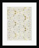 Moresque by Owen Jones