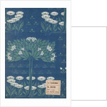 Furnishing Fabric by Unknown