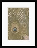 Hera furnishing fabric by Arthur Silver