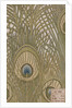 Hera furnishing fabric by Arthur Silver