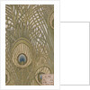 Hera furnishing fabric by Arthur Silver