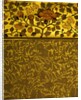 Wallpaper by Bruce James Talbert