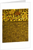 Wallpaper by Bruce James Talbert