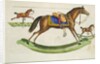 Rocking horses by Anonymous