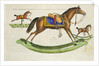 Rocking horses by Anonymous