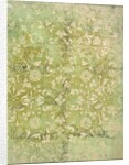 Lining Paper by Unknown