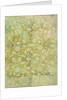Lining Paper by Unknown