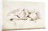 Two cats by Giovanni Battista Tiepolo